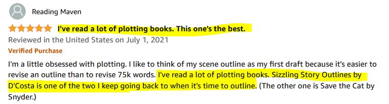 Screenshot of a five-star review that praised Sizzling Story Outlines as being one of the best plotting books